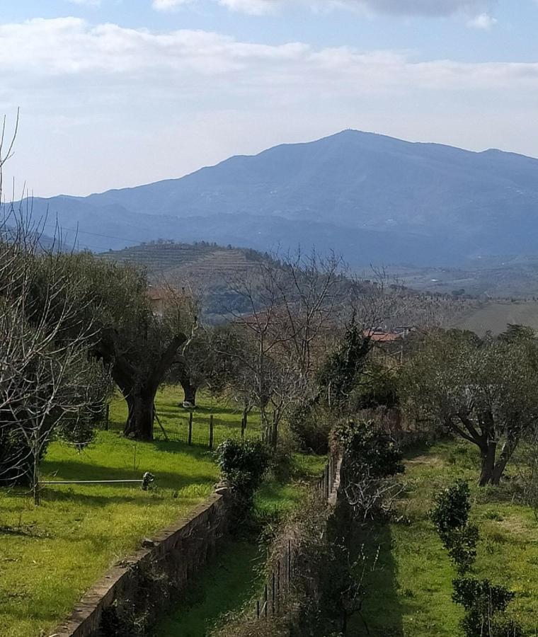 Azienda Agricola Cafaro Grazia - Cilens Aurea Villa Vallo della Lucania Exterior photo